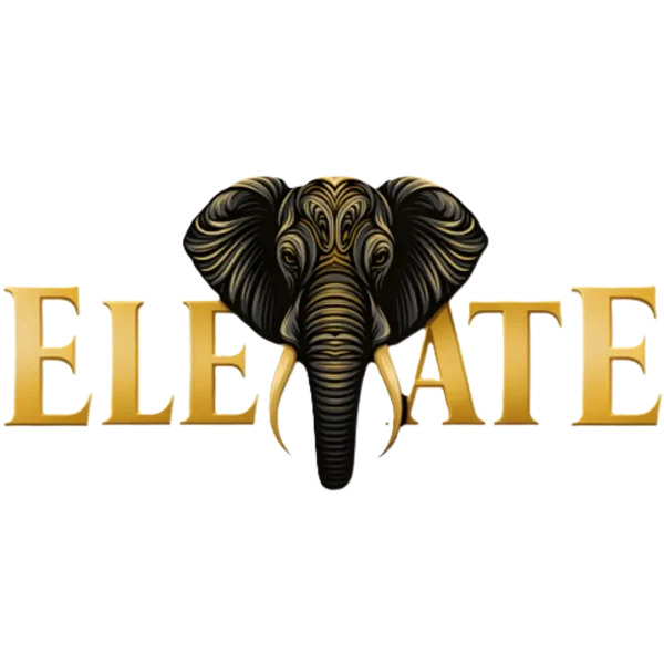 ELEVATE_2